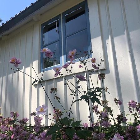 Seaside Cottage Haga Park Frobygarda ภายนอก รูปภาพ